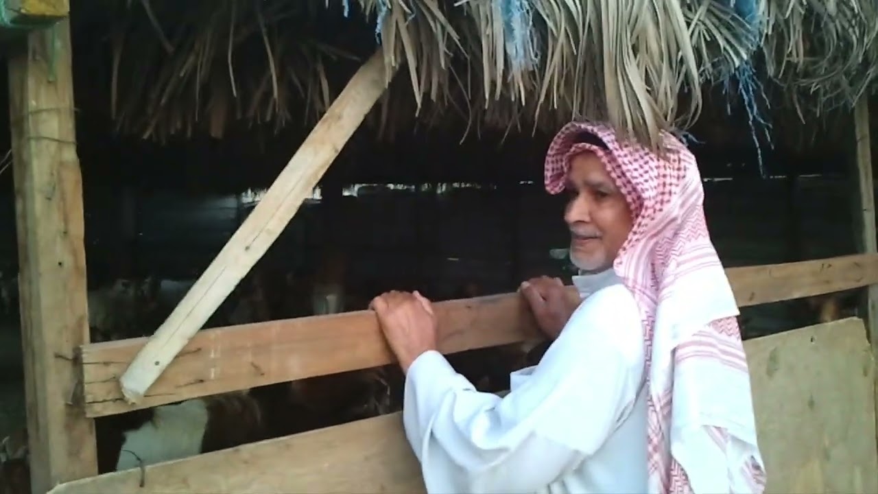 زيارة الى مزرعة النويحية غرب سد القديح(مزرعة المرحوم رضوان آل مرار واولاده) 28 ابريل 2011 م.