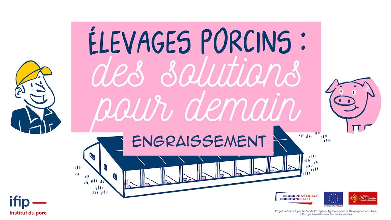 Quelles solutions pour le bâtiment d'engraissement des élevages de porcs de demain ?