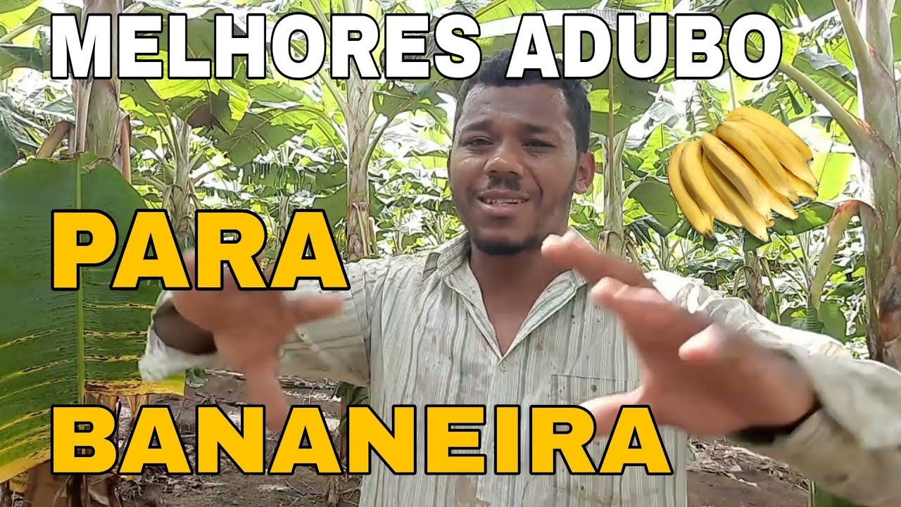 🛑 MELHORES ADUBO PARA BANANEIRA 😱😱😱😱
