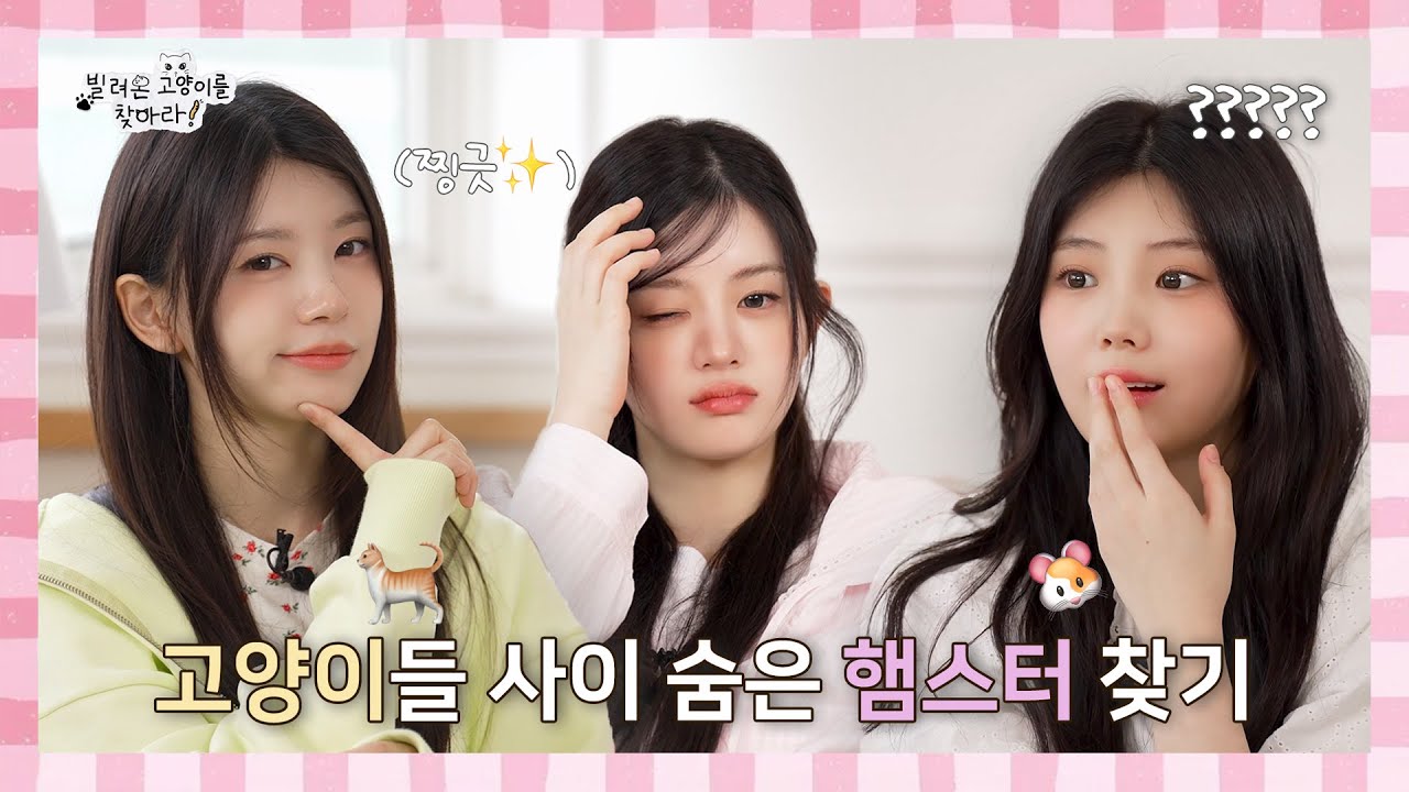 빌려온 고양이의 정체는⁉️ l 고양이🐈들 사이 숨은 햄스터🐹 찾기🔎 l ILLIT (아일릿) 빌려온 고양이를 찾아라!