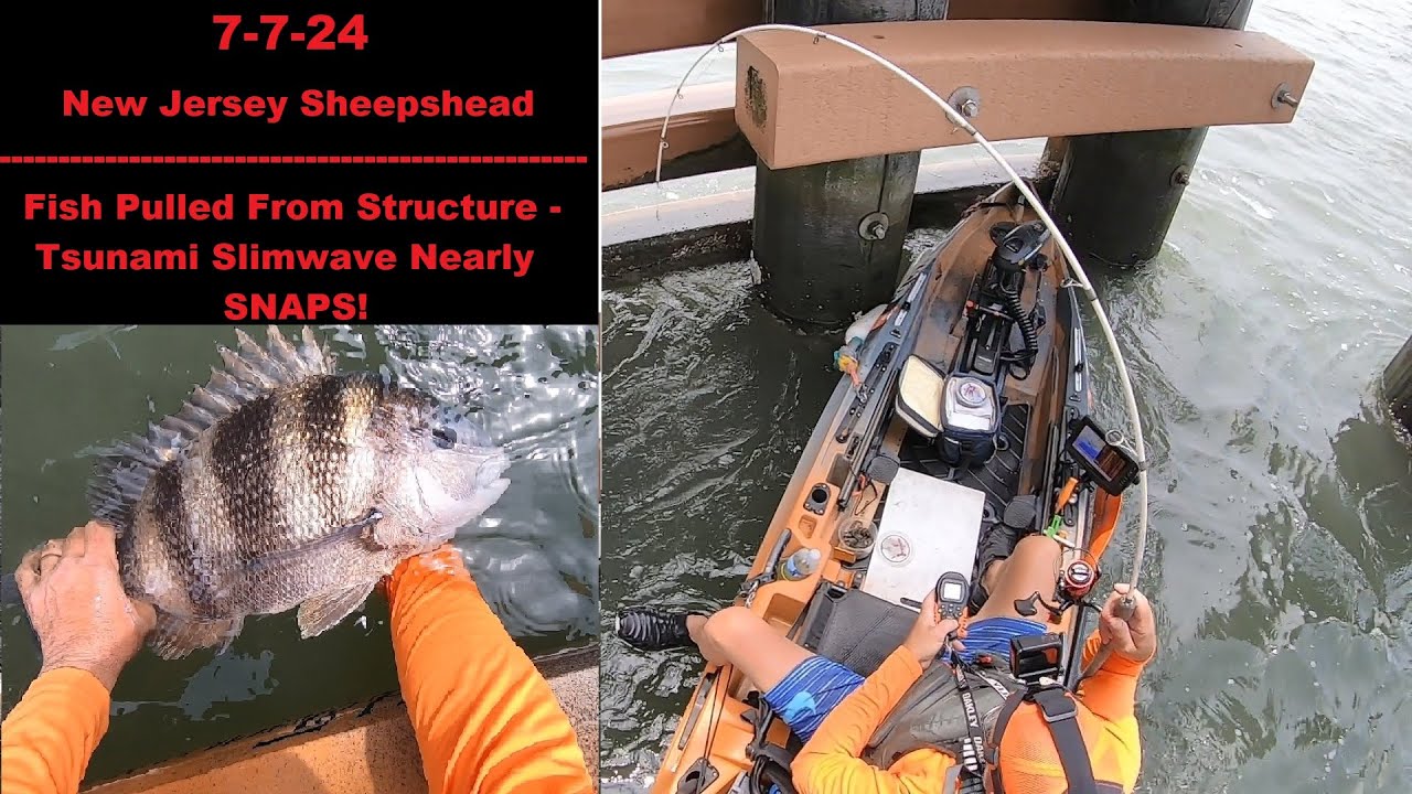 New Jersey Sheepshead Fishing - Sheep Pulled from Structure & Tsunami Slim wave Nearly SNAPS!!!