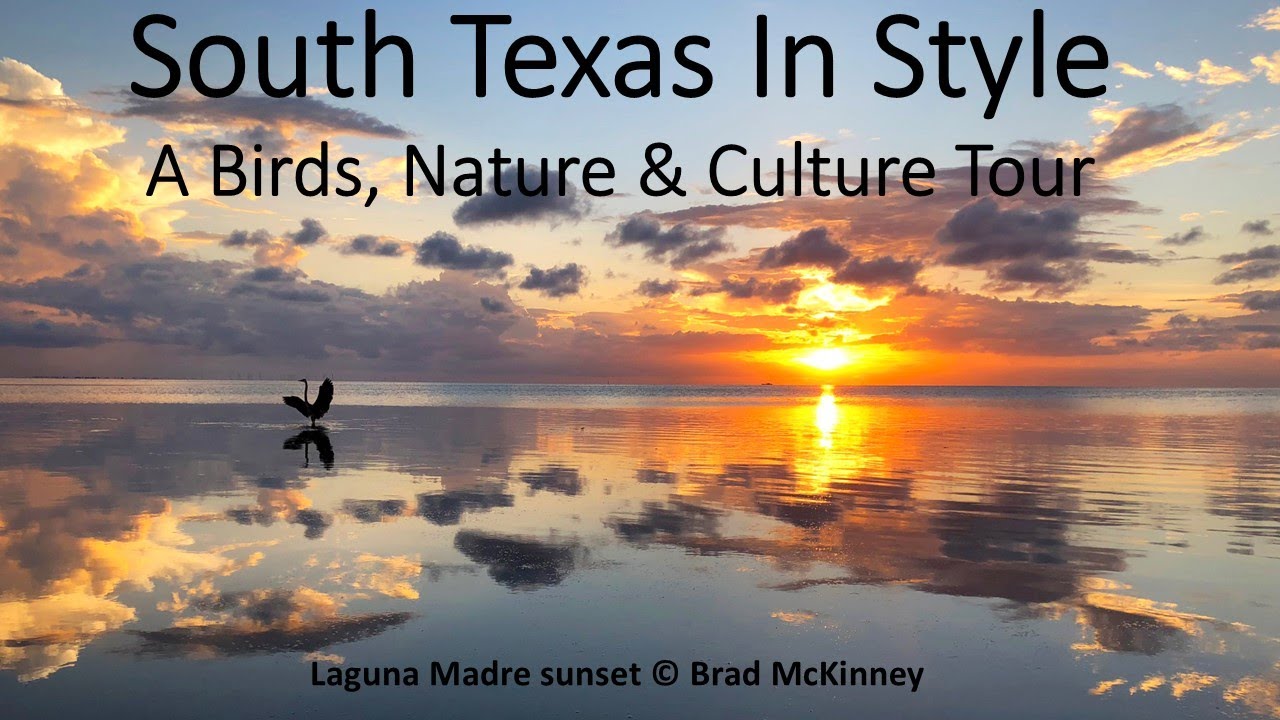 South Texas in Style: A New Way to Experience the Rio Grande Valley