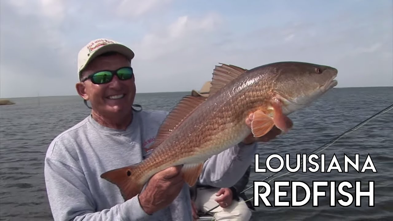 Redfish Fishing In Louisiana