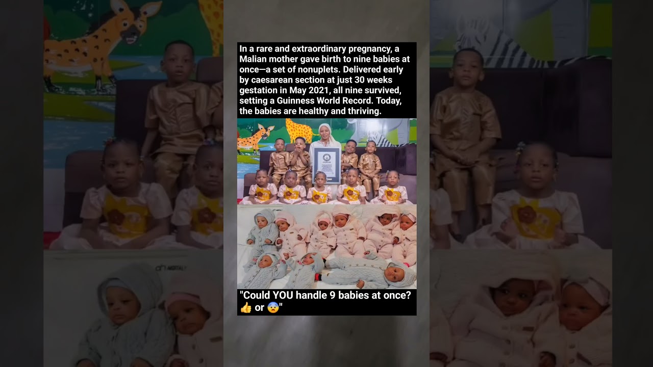 She Gave Birth to NINE Babies at Once! The Impossible Survival Story (2025 Update)