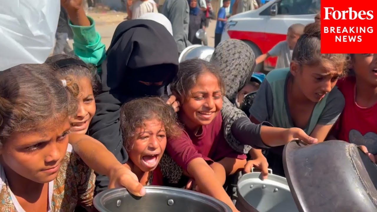 Displaced Palestinians Line Up To Receive Food Amid Aid Blockade