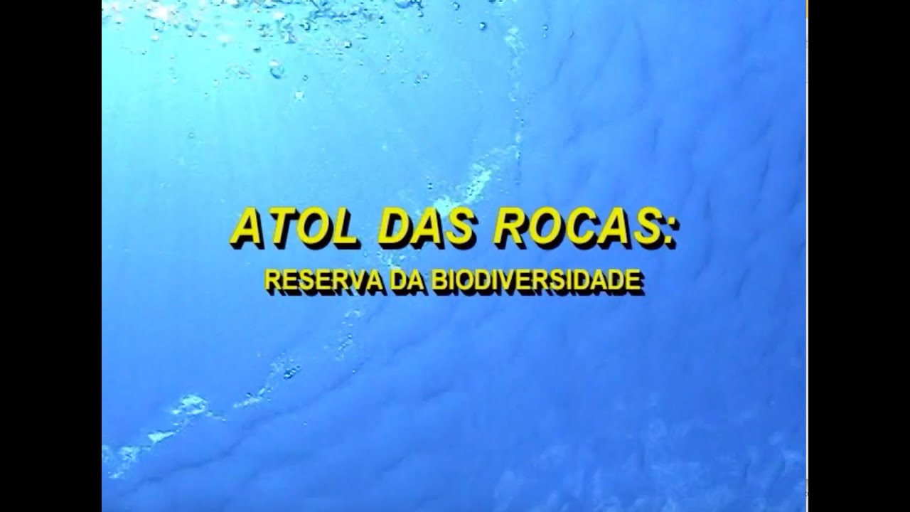Atol das Rocas 2004