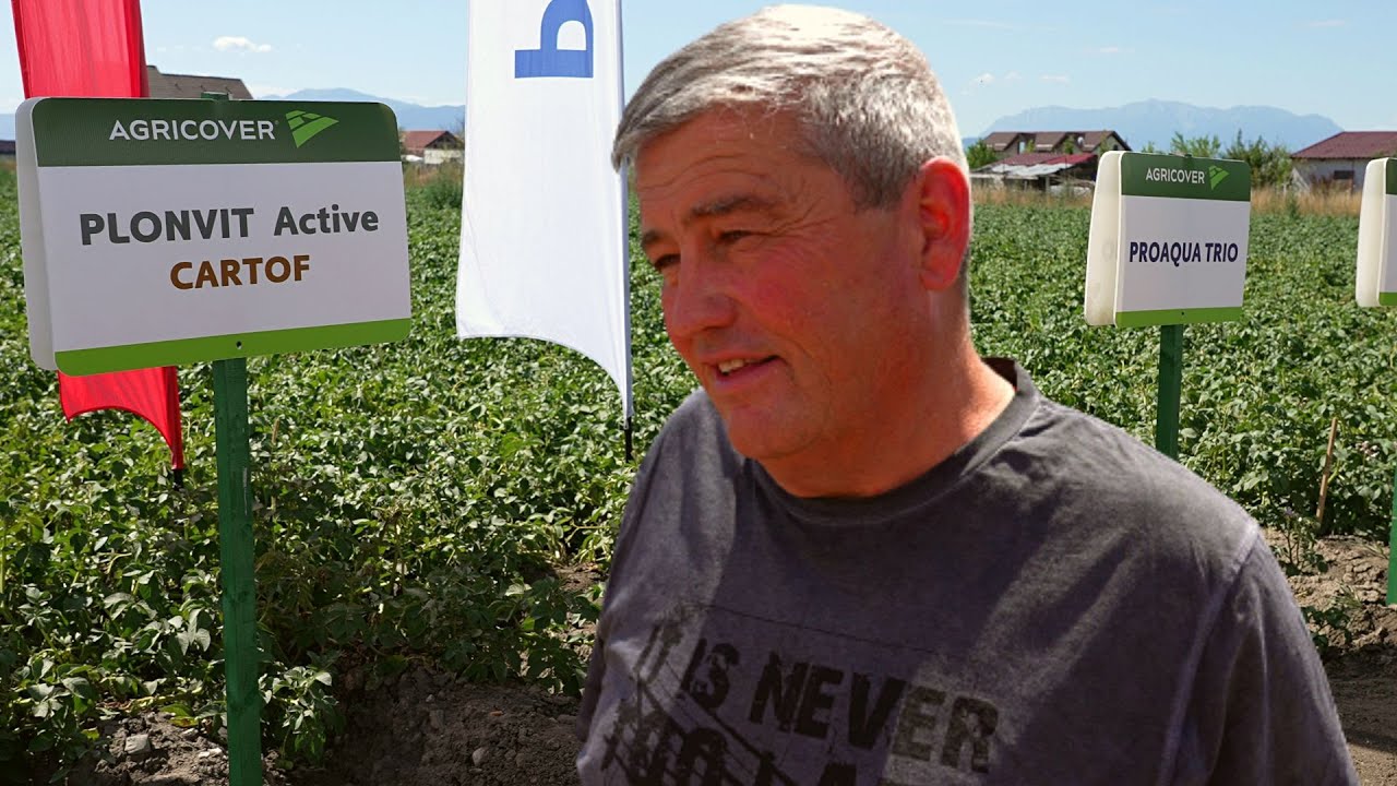 Tehnologia unui fermier brașovean pentru combaterea dăunătorilor și stimularea producției de cartofi