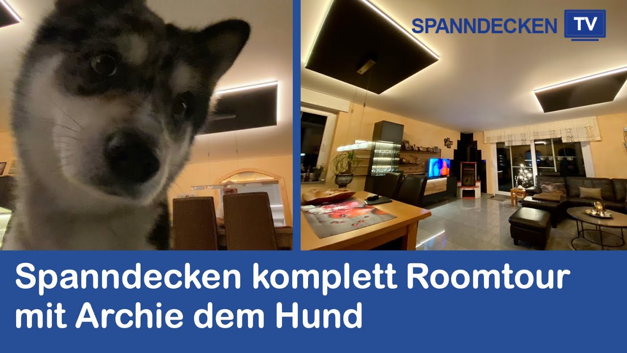 Spanndecken (fast) im gesamten Haus. Roomtour mit Hund und Kundenstatement.