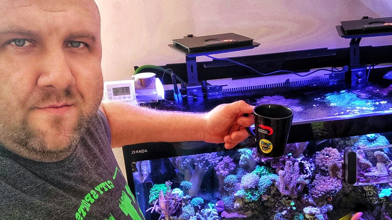 NOWE ŚWIATŁO NA RAFIE - MAXSPECT JUMP MJ-L165