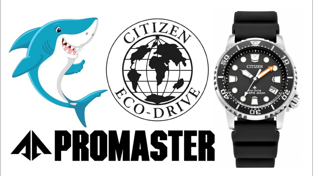 The Best Dive Watch For Small Wrists. PERIOD.