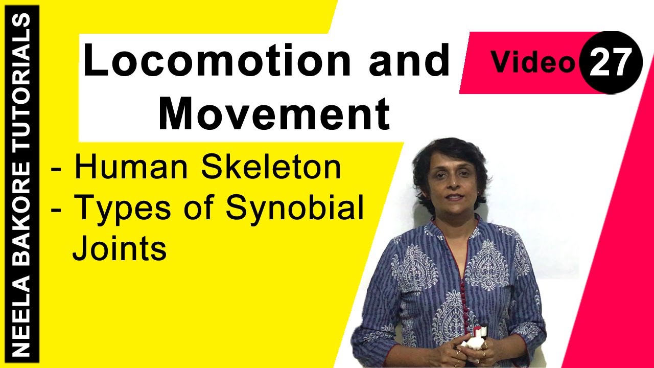 Locomotion and Movement | NEET | Human Skeleton  - Types of Synobial Joints | Neela Bakore Tutorials