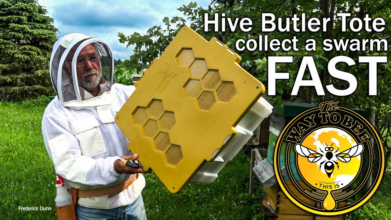 Small Swarm Collection FAST, simple, with the Hive Butler Tote... load and go!