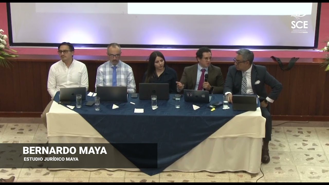 Mesa 1 - Fusiones en el Mercado de Plataformas Digitales