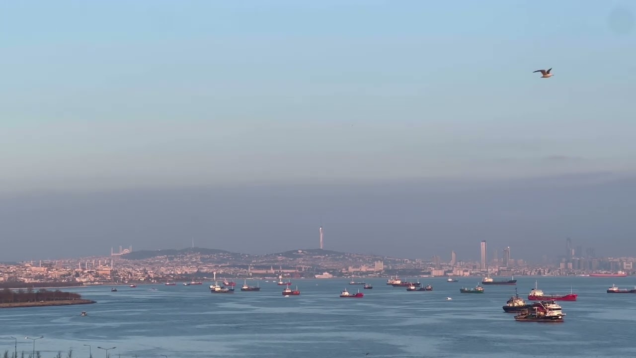 Gurbetçi Ozan - Türkiyem sağ olsun…İlelebet var olsun. #deniz #denizmanzarası #sea 