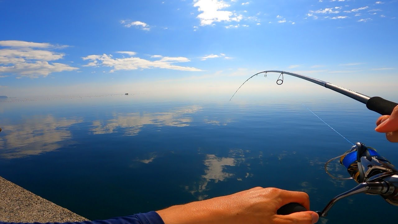根魚達の猛アタック！北海道の堤防は魚影が豊富
