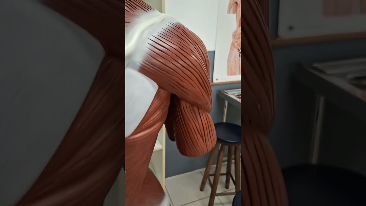 21 de outubro de 2025