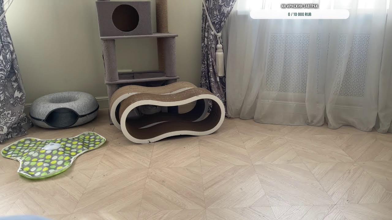 Завтрак с Ириской
