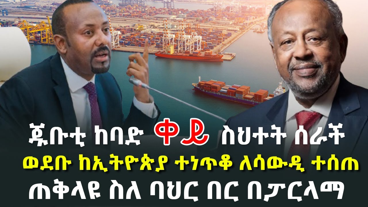 ጁቡቲ በኢትዮጵያ ላይ ቀይ ስህተት ሰራች - ወደቡ ከኢትዮጵያ ተነጥቆ ለሳውዲ ተሰጠ - ጠቅላዩ ስለ ባህር በር በፓርላማ @HuluDaily - ሁሉ ዴይሊ