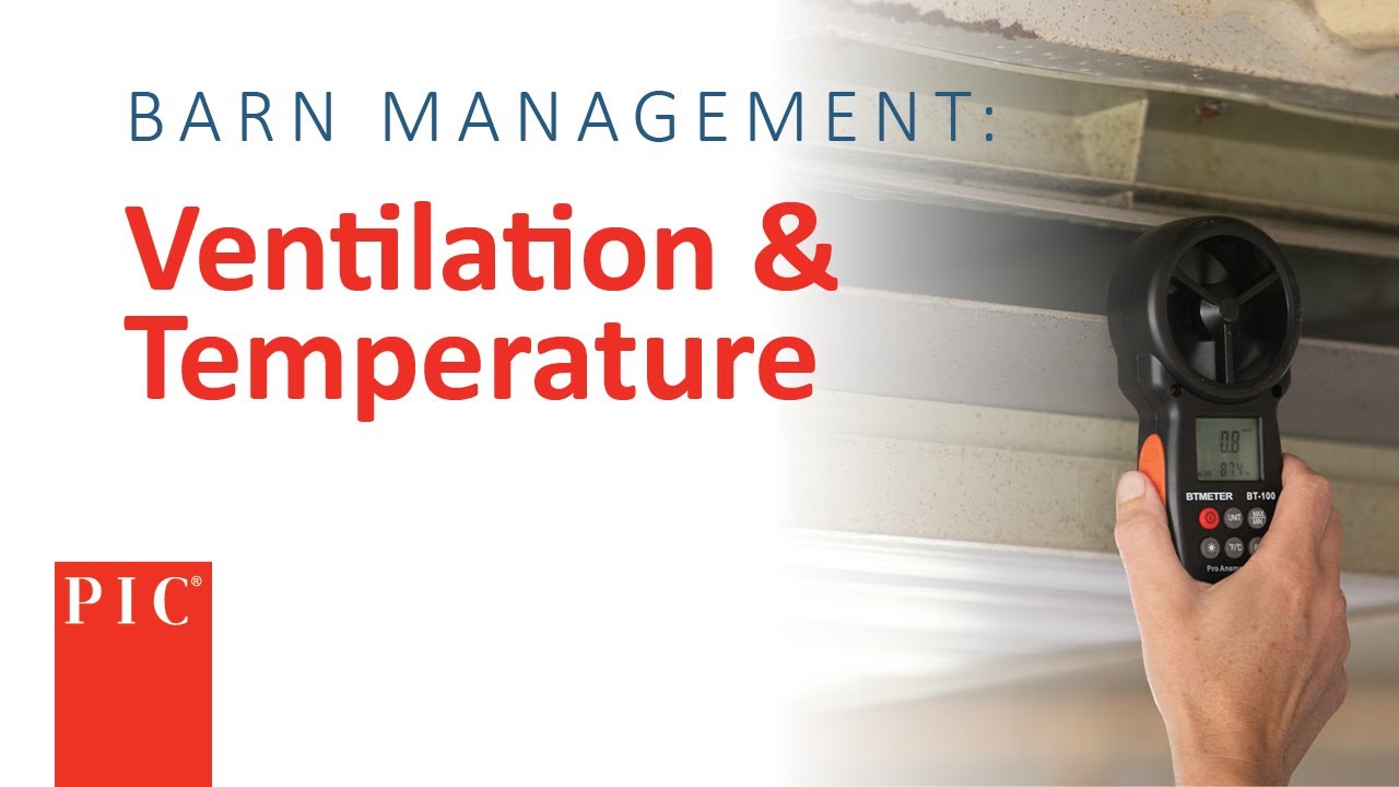 Wean-to-Finish Barn Ventilation | Pig Improvement Company