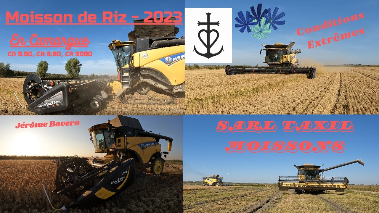 Moisson du riz en Camargue / 2 X NH CR 9.90 / NH CR 9.80 / NH CR 9080 - 2023