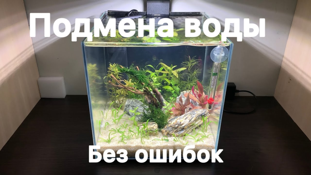 Подмена воды в аквариуме, как правильно подменять воду в аквариуме