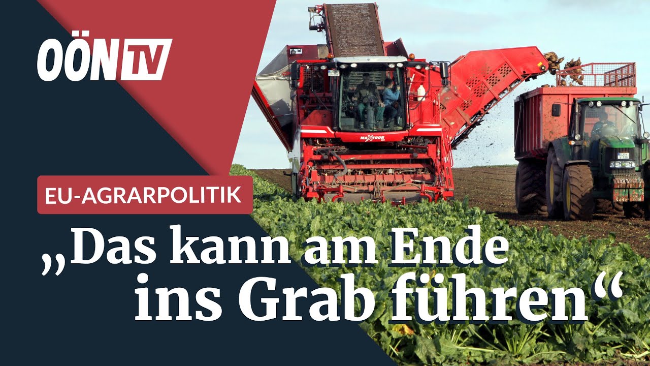 EU-Agrarpolitik: &bdquo;Das kann am Ende ins Grab f&uuml;hren&ldquo;