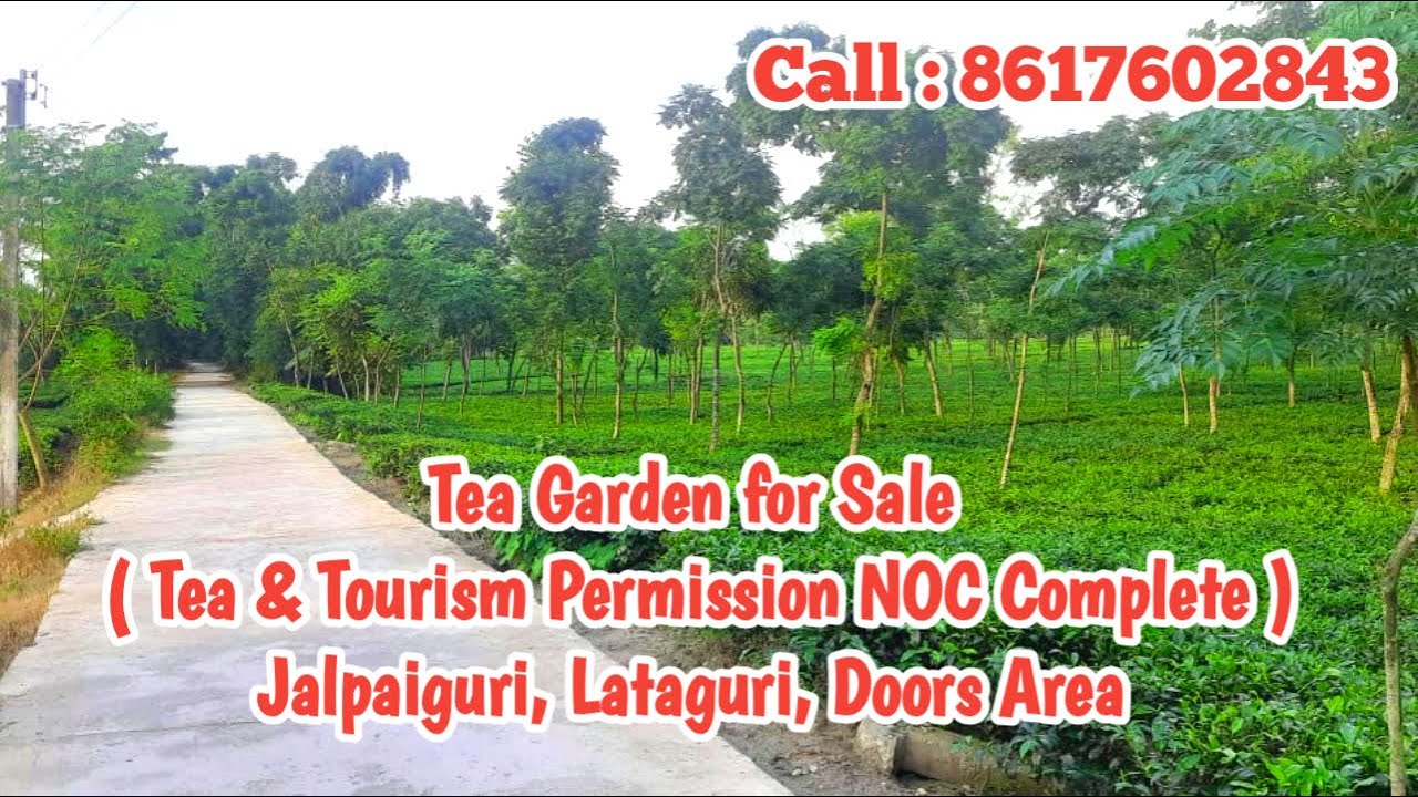 Tea Garden for Sale in Jalpaiguri Lataguri Doors Area
