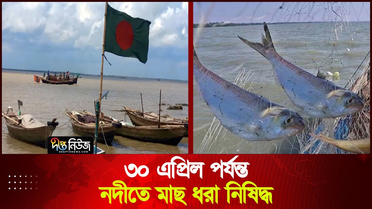 ৩০ এপ্রিল পর্যন্ত নদীতে মাছ ধরা নিষিদ্ধ | Fishing Banned | Deepto News