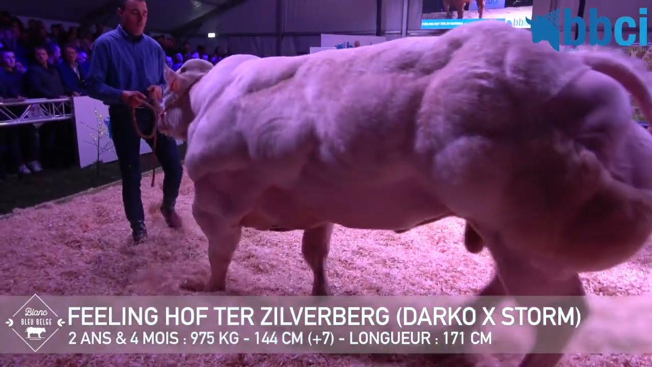 FEELING HOF TER ZILVERBERG (2023)