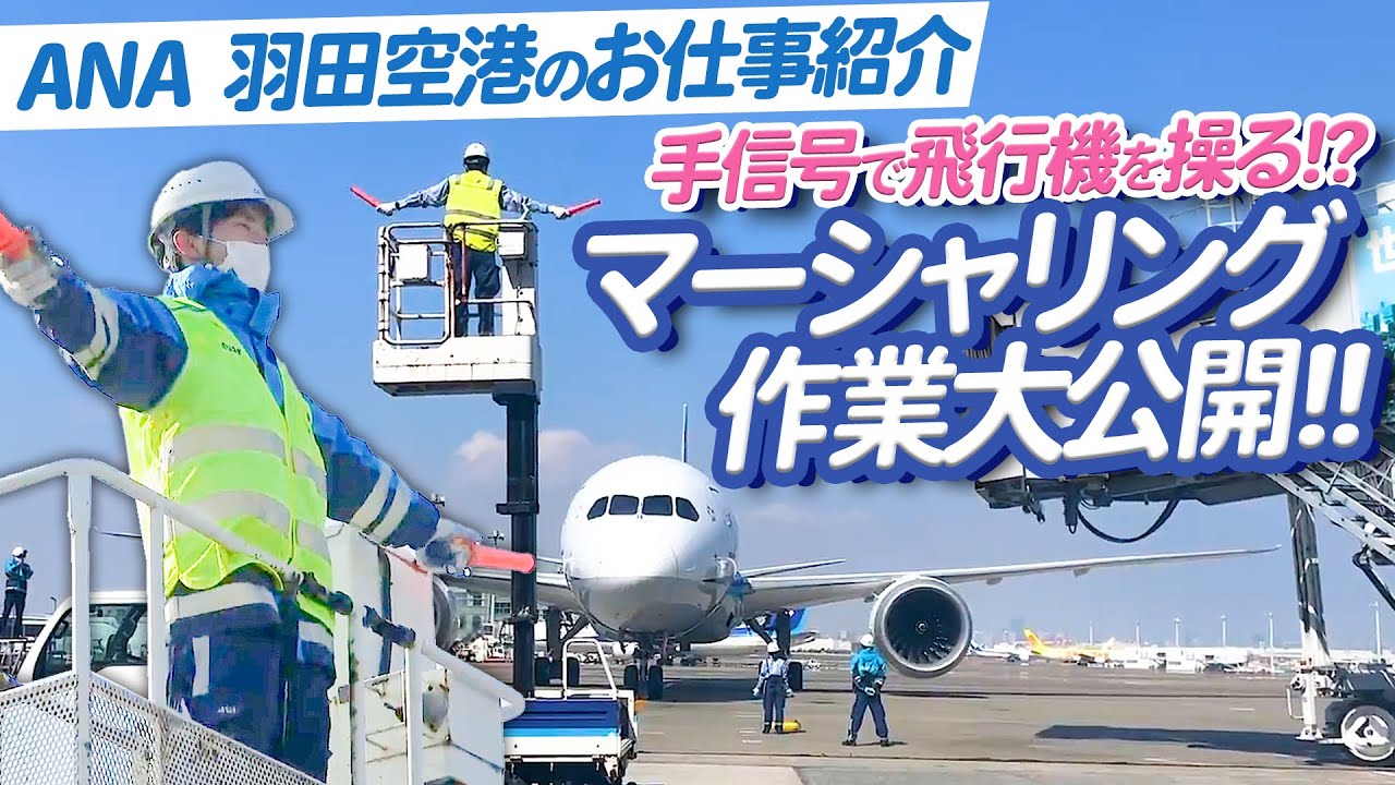 【ANAグランドハンドリングの顔】手信号で飛行機を操る！？マーシャリング作業に密着！