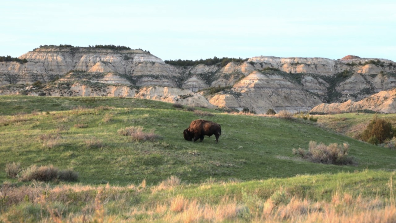 Badlands National Park - Scenery and Wildlife