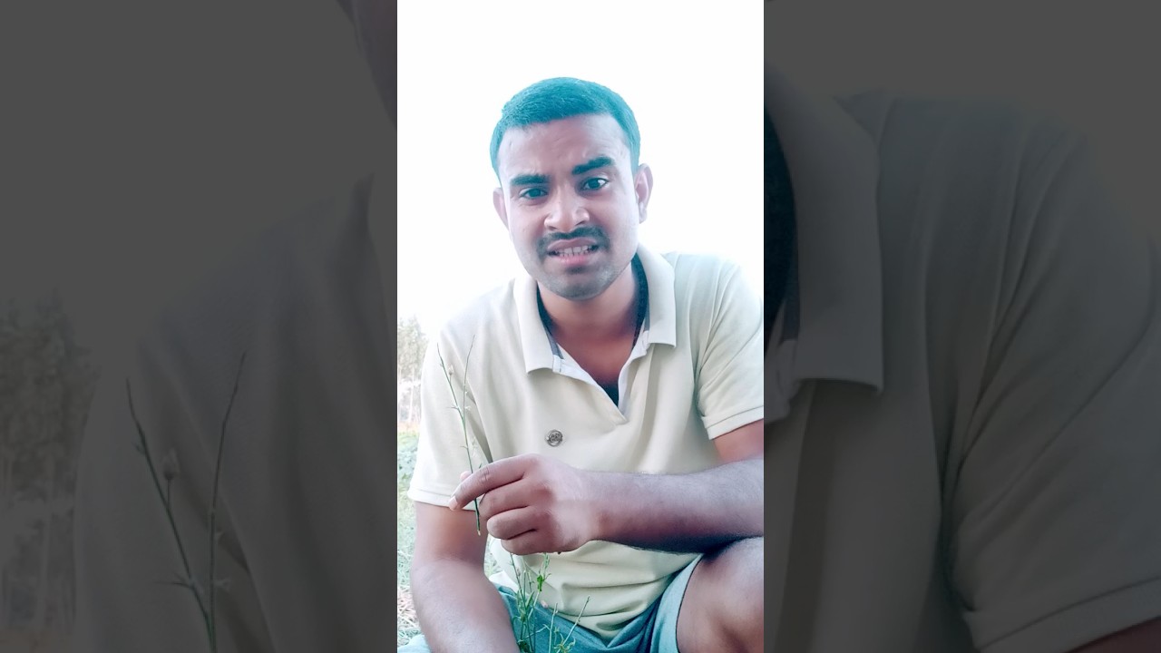 ,Gori Fuljri Badi Papa ki pri  badu. Aman music // 