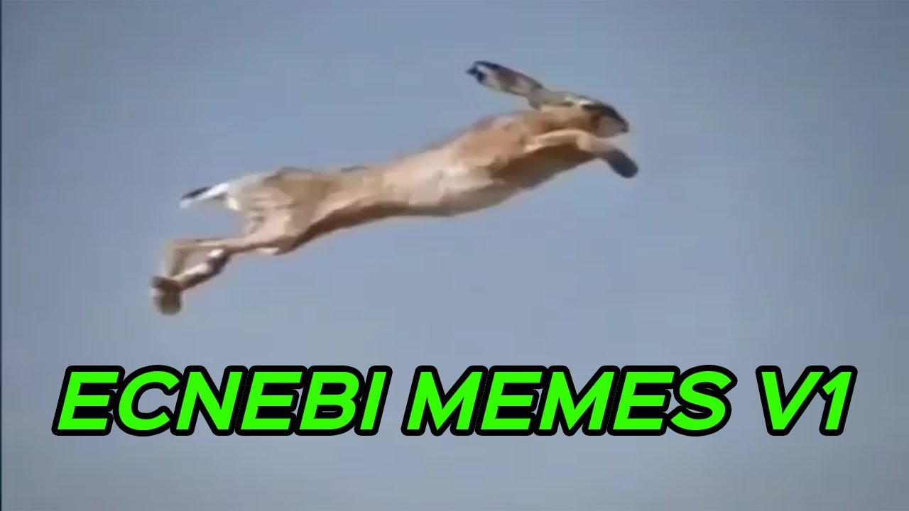 ECNEBI MEMES V1