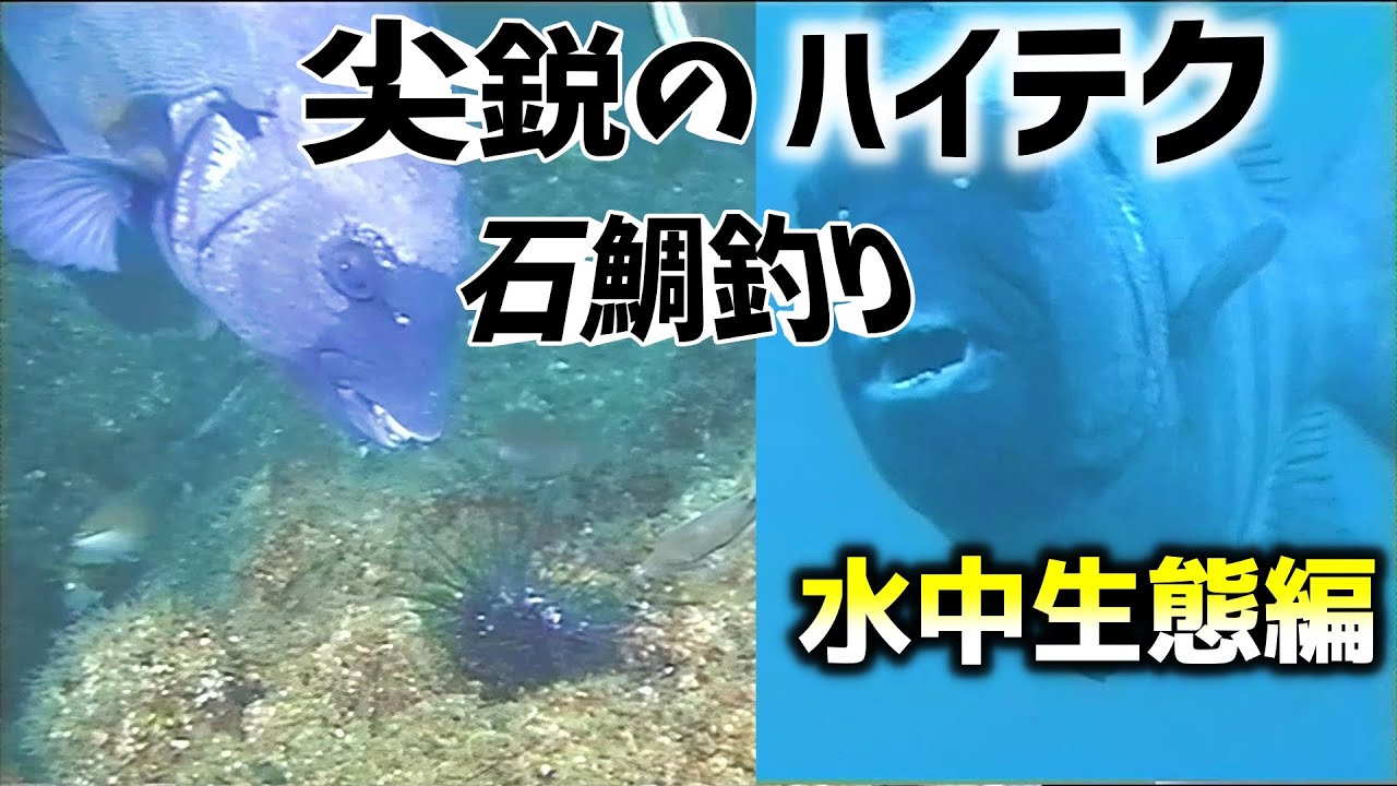 【柳孝治】尖鋭のハイテク石鯛釣り　水中生態編