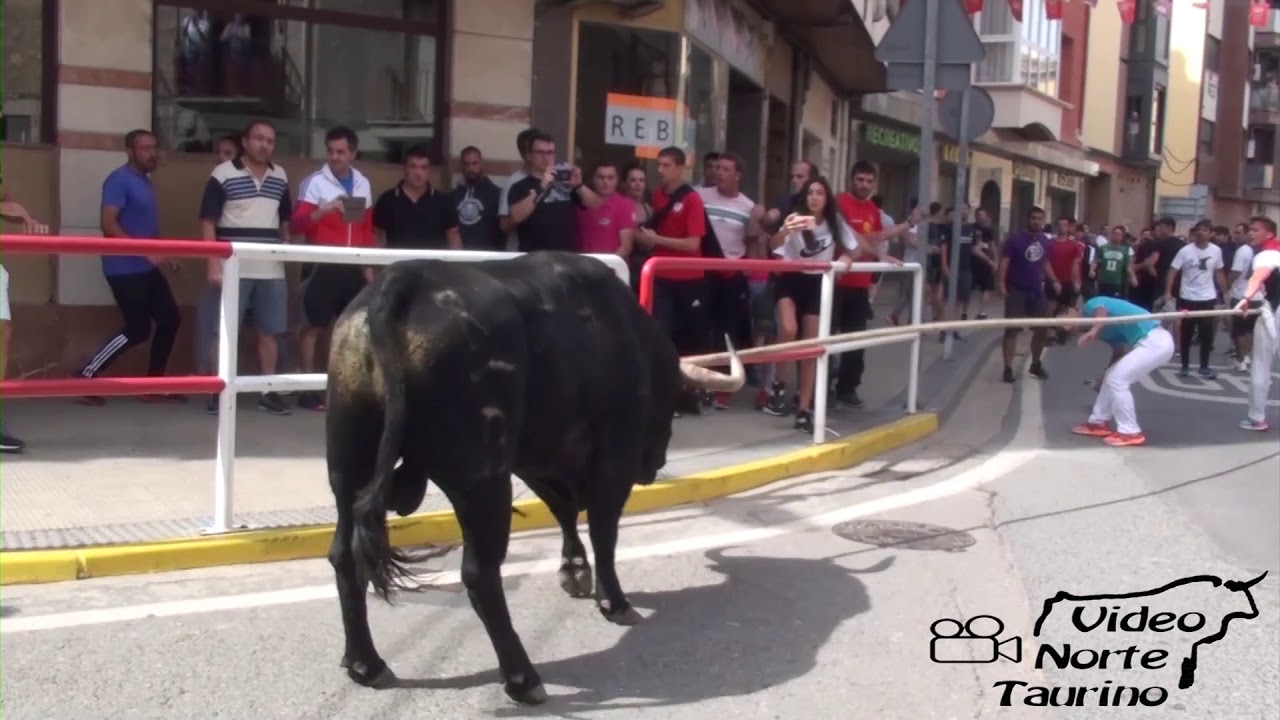 Lodosa (Navarra) Toro ensogado por Benavente 22-09-2019  J.Antonio Baigorri