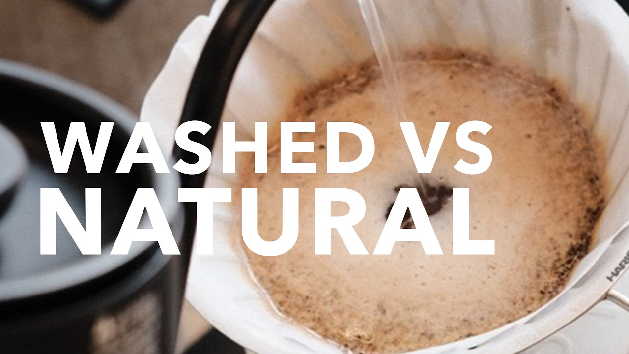 How to brew coffee on a V60 - Washed vs Natural Gesha