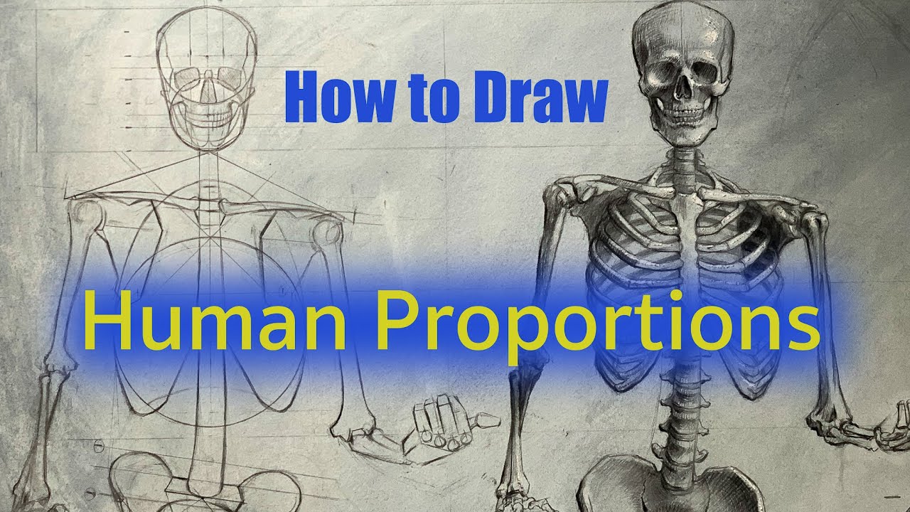 How to Draw People Using Proportions- Step by Step Drawing Instruction | Homeschool Art Curriculum