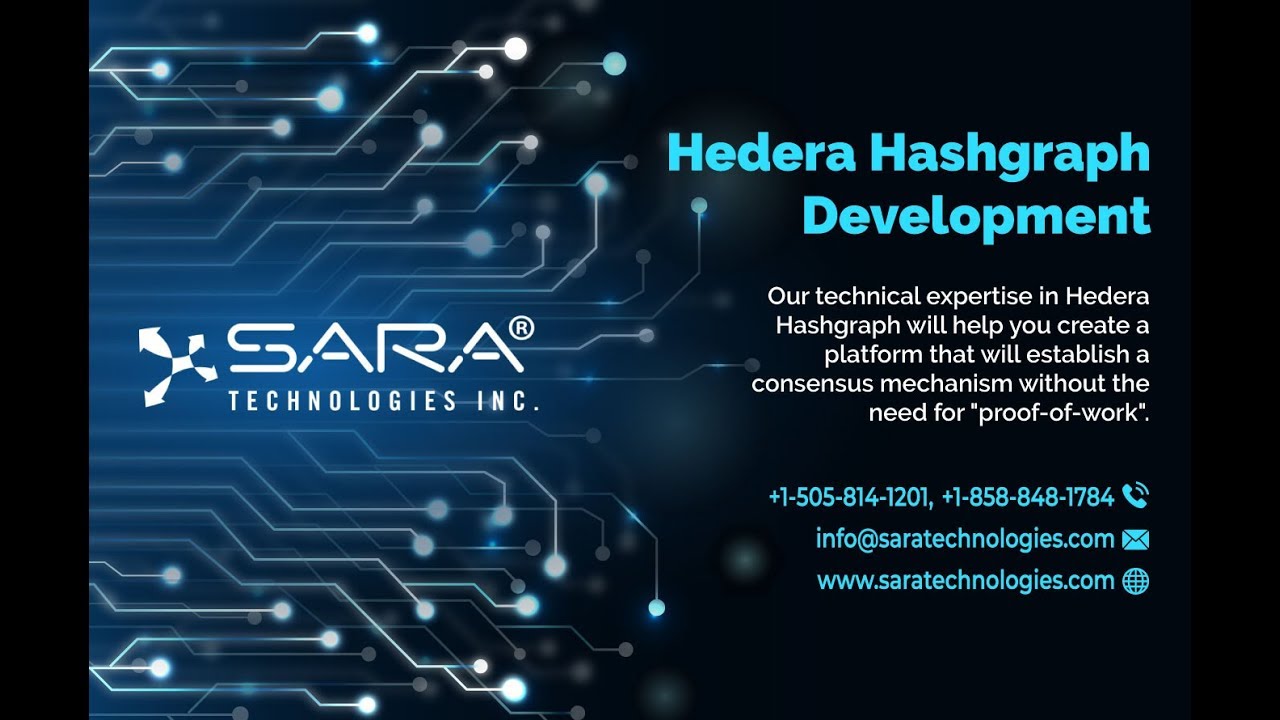 Hedera Hashgraph Development Services
