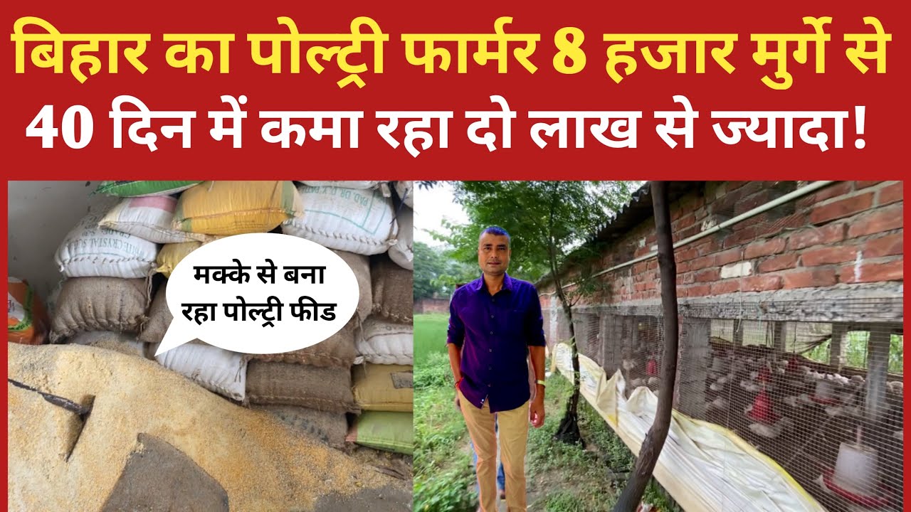 बिहार का ये पोल्ट्री फ़ार्मर की कमाई देख दिमाग घूम जाएगा | Poultry farming in Bihar | Chicken