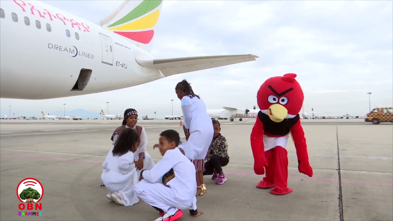 TAPHA IJOOLLEE BUUFATA  XIYYAARAA IDIL ADDUNYA BOOLEE  LEELLOO OBN GAAMMEE