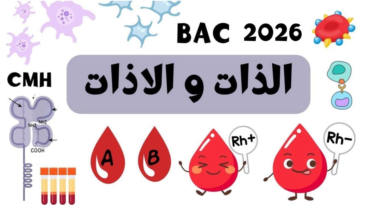 ملخص الذات و الاذات /المناعة باك 2026😎فهم مضمون 💯💯