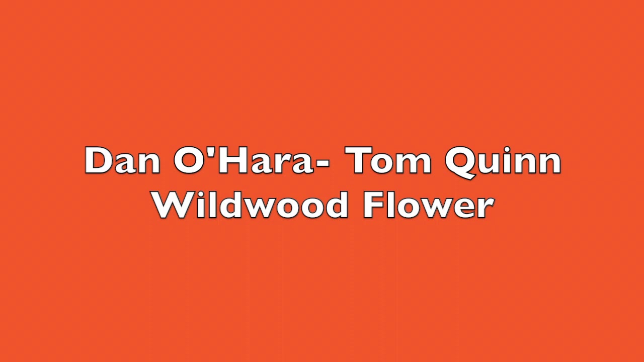 Wildwood Flower...Dano, Tom Quinn