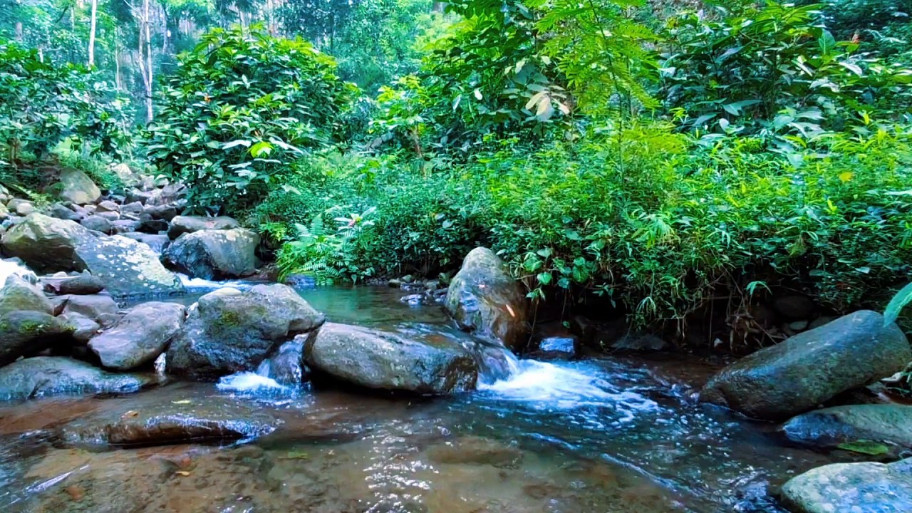 Mountain River Sounds for Peaceful Nights