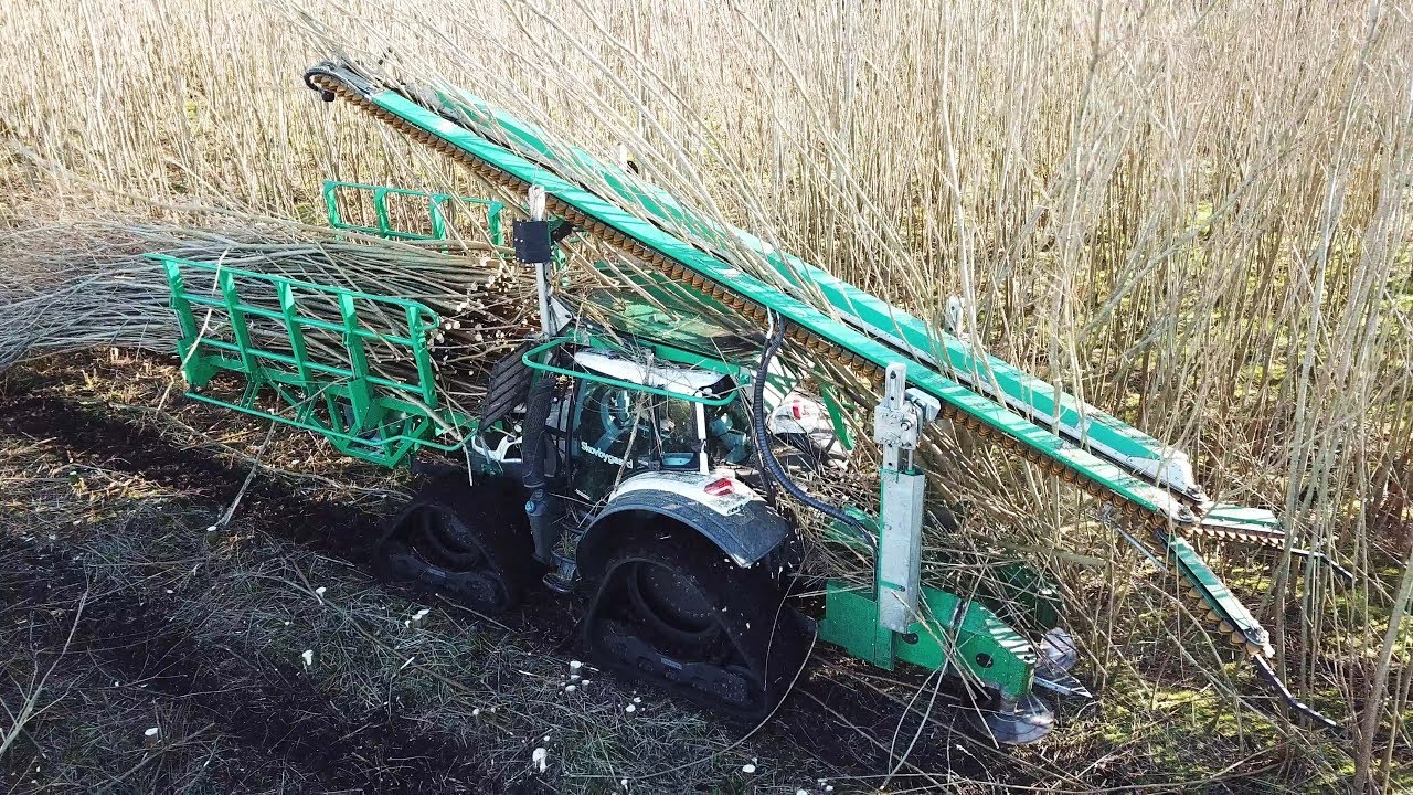 Valtra N174 Harvesting Willow w/ Special Builded Willow Harvester & Saucy Tracks | Skovbygaard