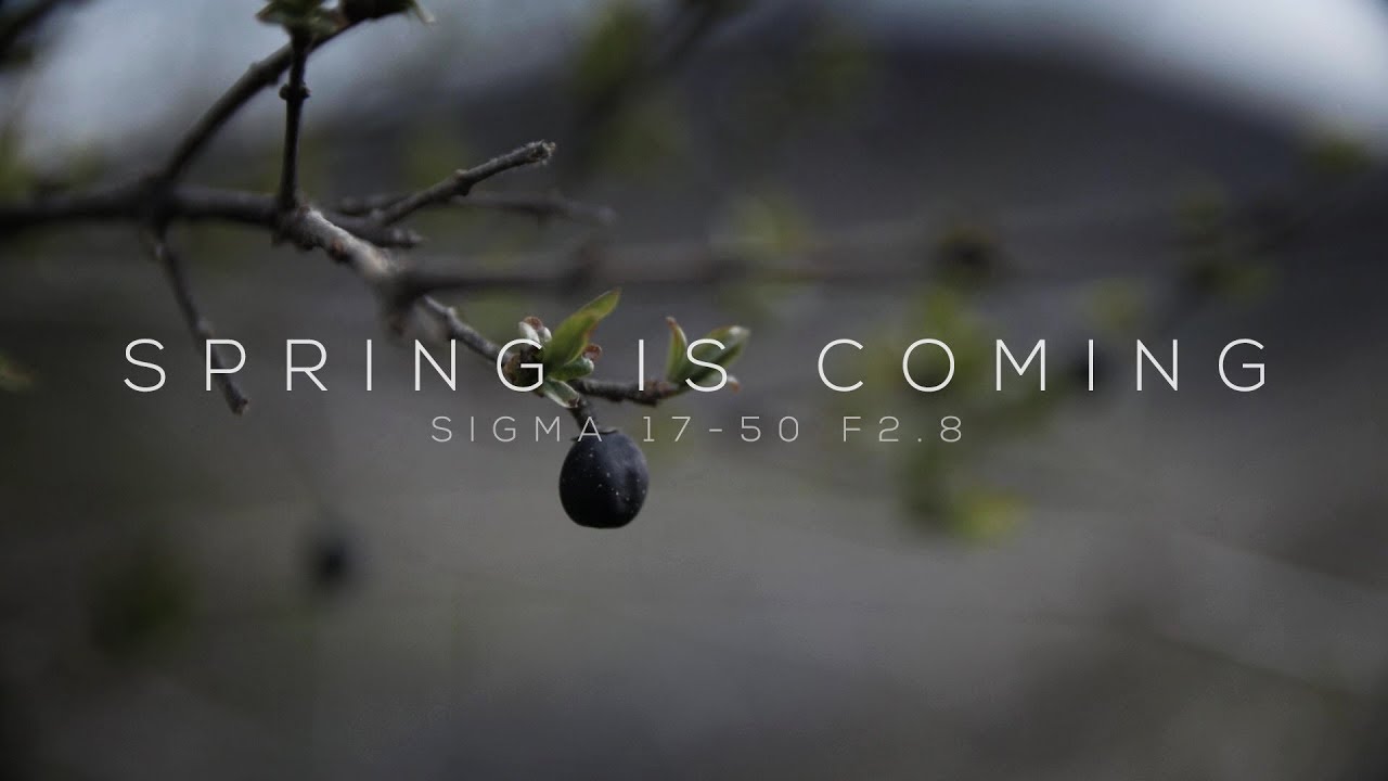 Spring Is Coming // Sigma 17-50 F2.8 + Viltrox Speedbooster // Panasonic G85 60P Sample Footage
