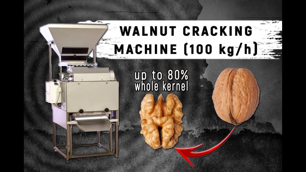 Walnut Cracking Machine productivity 100 kg/h