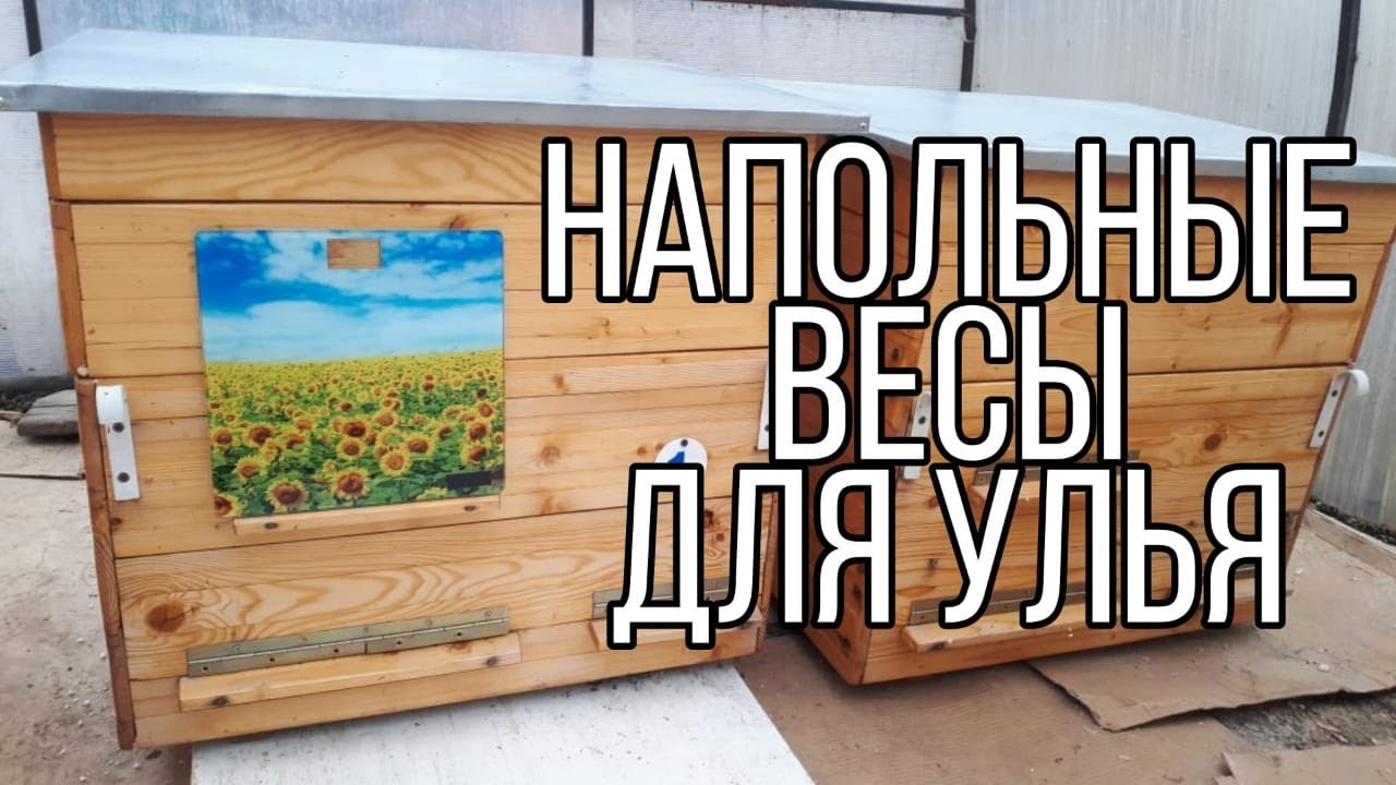 Электронные весы для улья за 600 рублей. Весы для габаритного груза.