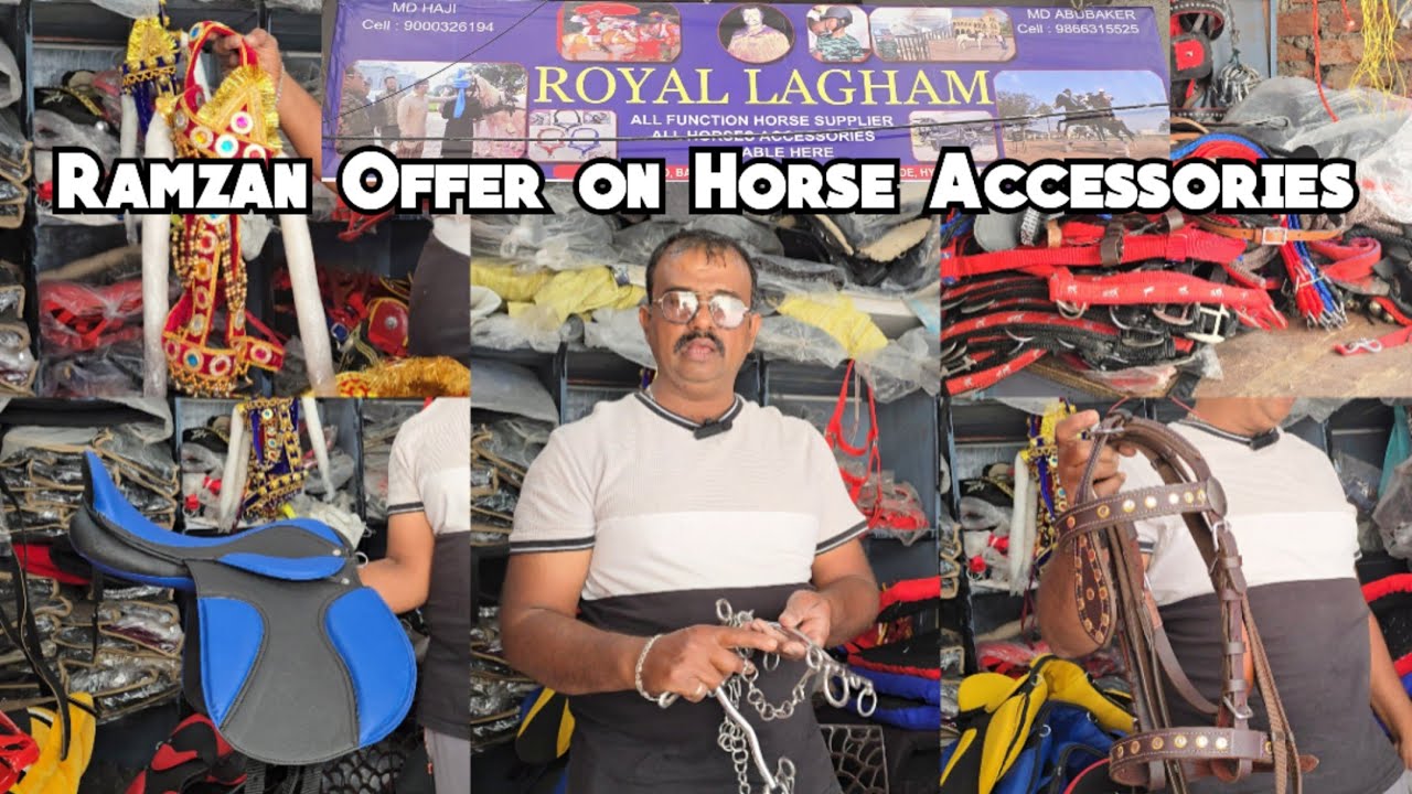 Pets Accessories Shop In Hyderabad | Horse Bulls Goats & Sheep Ke Zewar at Royal Lagam | Hyderabad