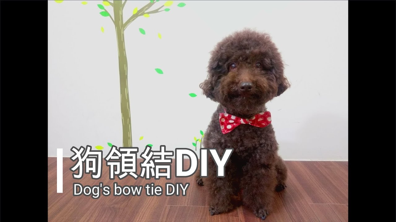 How to sewing dog's bow tie in 10 mins. 寵物領結10分鐘完成!!