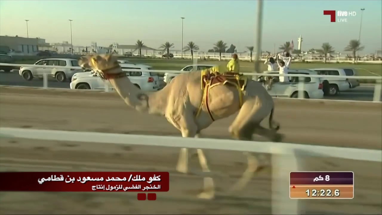 ملخص أشواط رموز أبناء القبائل العامة بميدلن الشحانية موسم ٢٠١٧-٢٠١٨